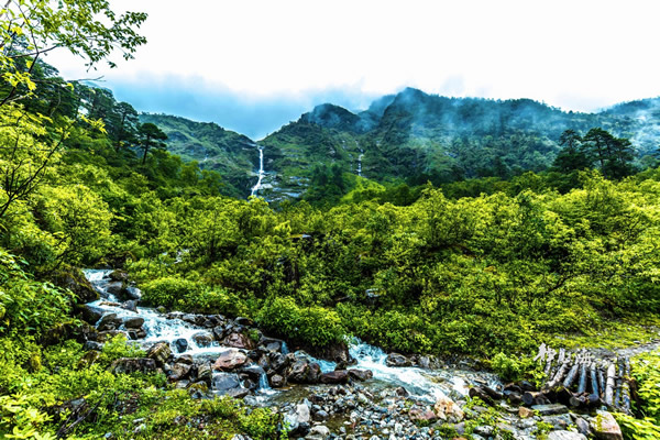 林芝-魯朗林海-然烏-波密-墨脫蓮花寶地4晚5日游