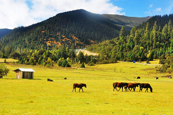 徒步體驗，藏式風情，拉薩，巴松措，新措徒步，魯朗林海田園風光，大峽谷，羊湖，卡諾拉冰川，滿拉水庫，日喀則，納木措扎營9晚10日游